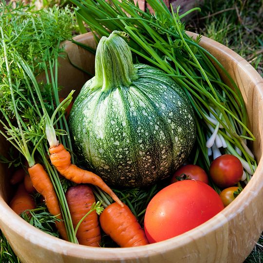 homegrown garden vegetables