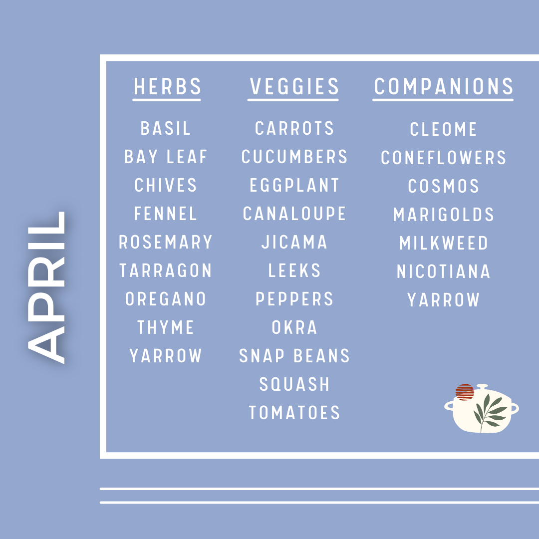 april kitchen garden guide