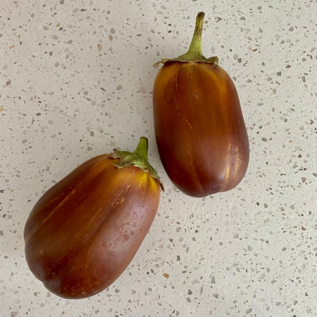 eggplant sunscald