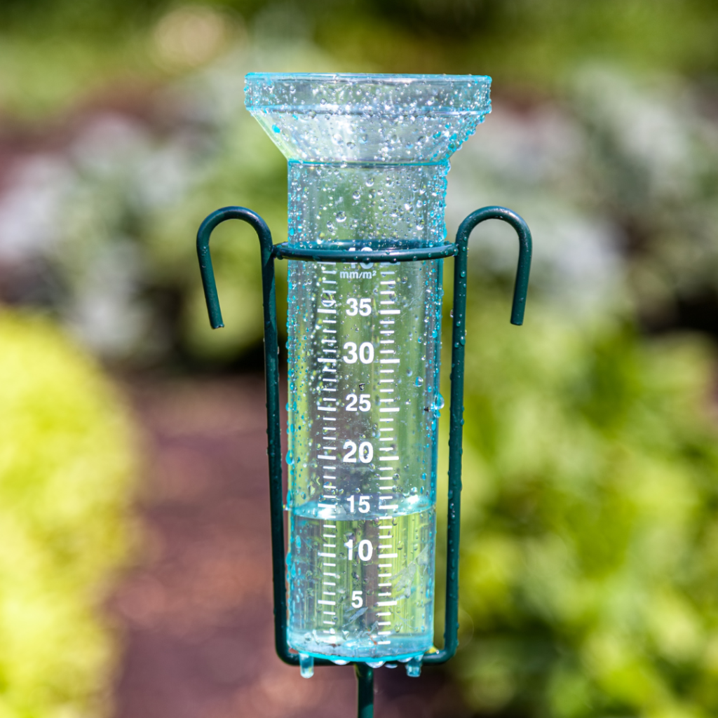 phoenix monsoon rain gauge - july kitchen garden tips