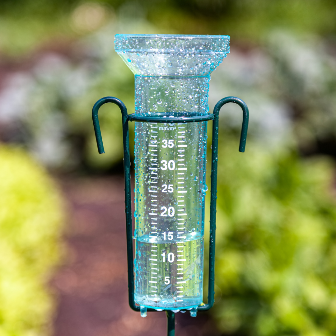 phoenix monsson rain gauge - july kitchen garden tips