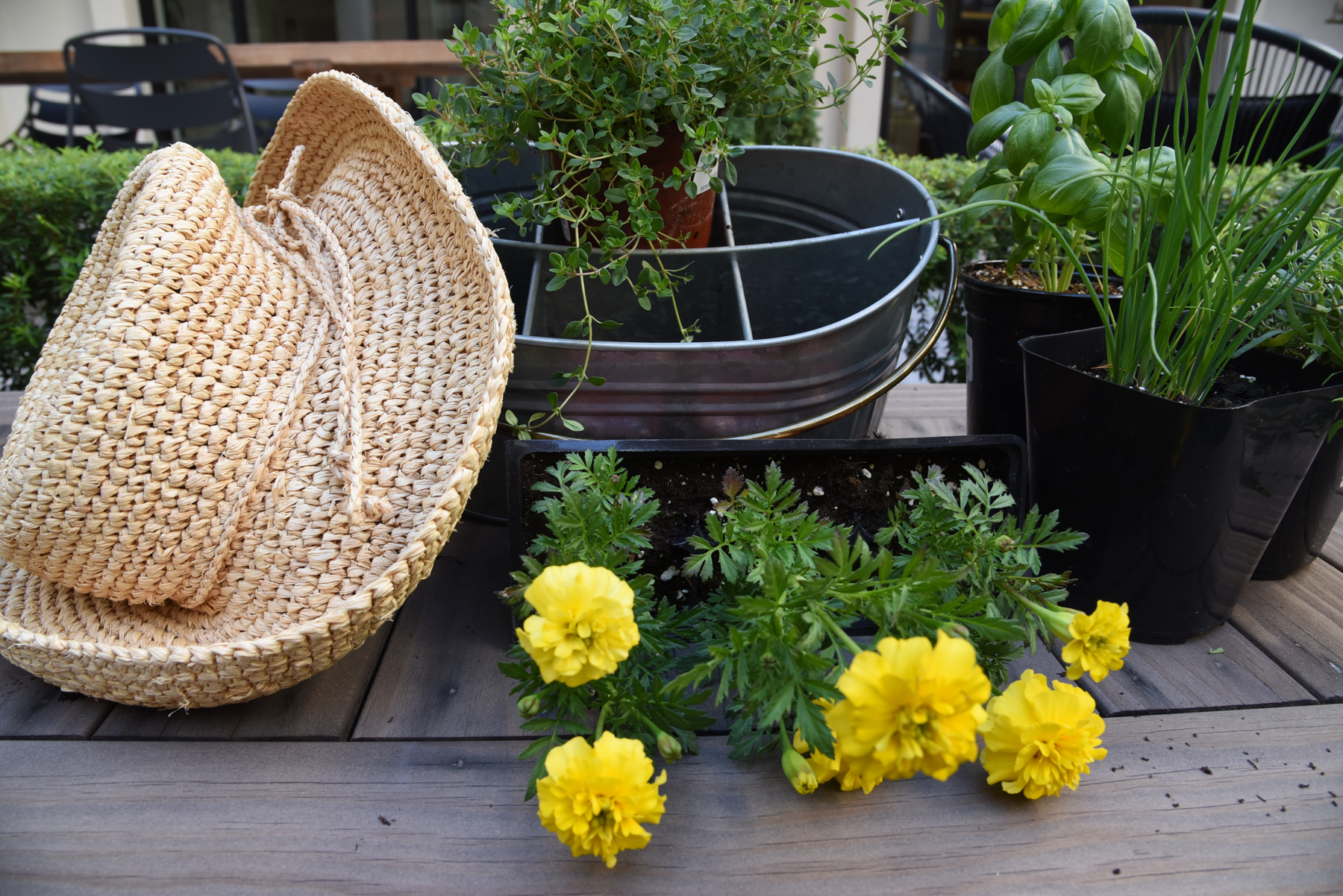 kitchen garden class