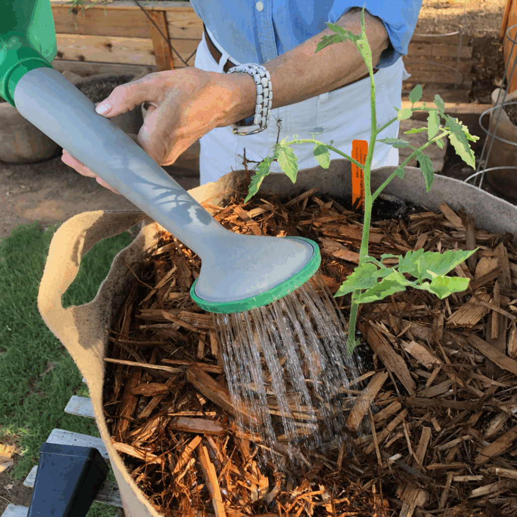 soil and water garden tips