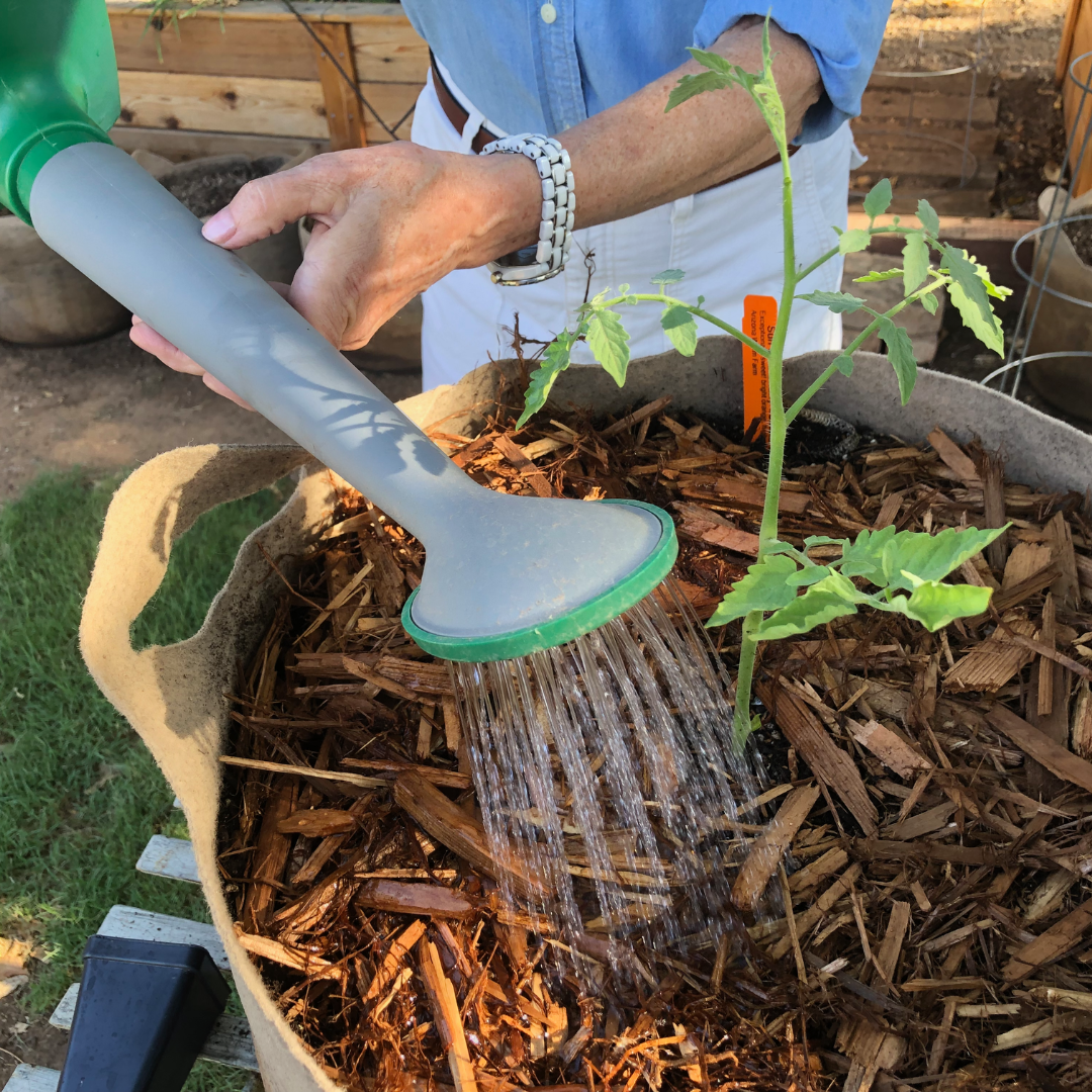 soil and water garden tips
