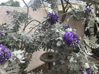 Instagram post from phxkitchengardens. This post is in position 22.