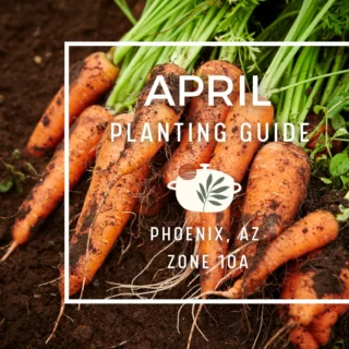 Instagram post from phxkitchengardens. This post is in position 17.