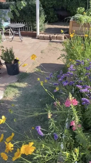 Instagram post from phxkitchengardens. This post is in position 4.