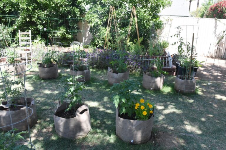Instagram post from phxkitchengardens. This post is in position 10.