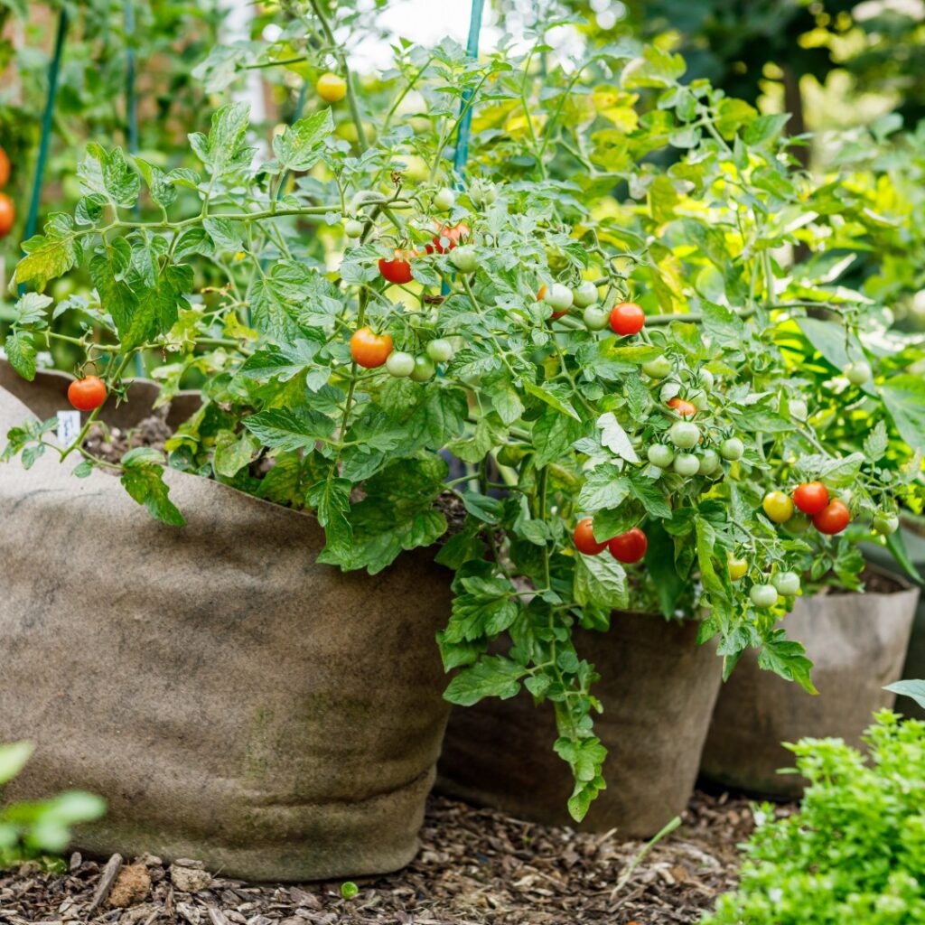 Instagram post from phxkitchengardens. This post is in position 11.