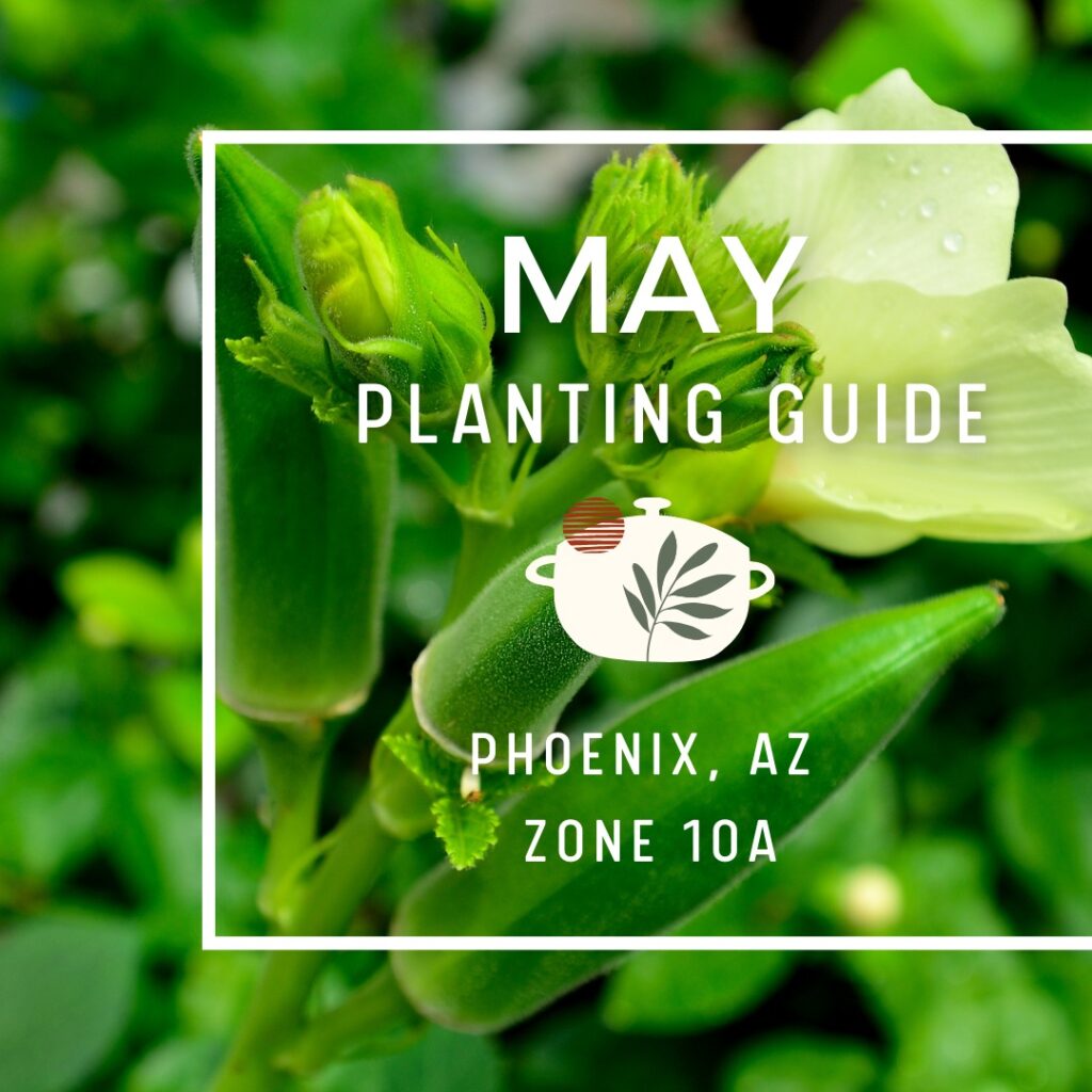 Instagram post from phxkitchengardens. This post is in position 0.
