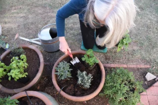 Instagram post from phxkitchengardens. This post is in position 25.