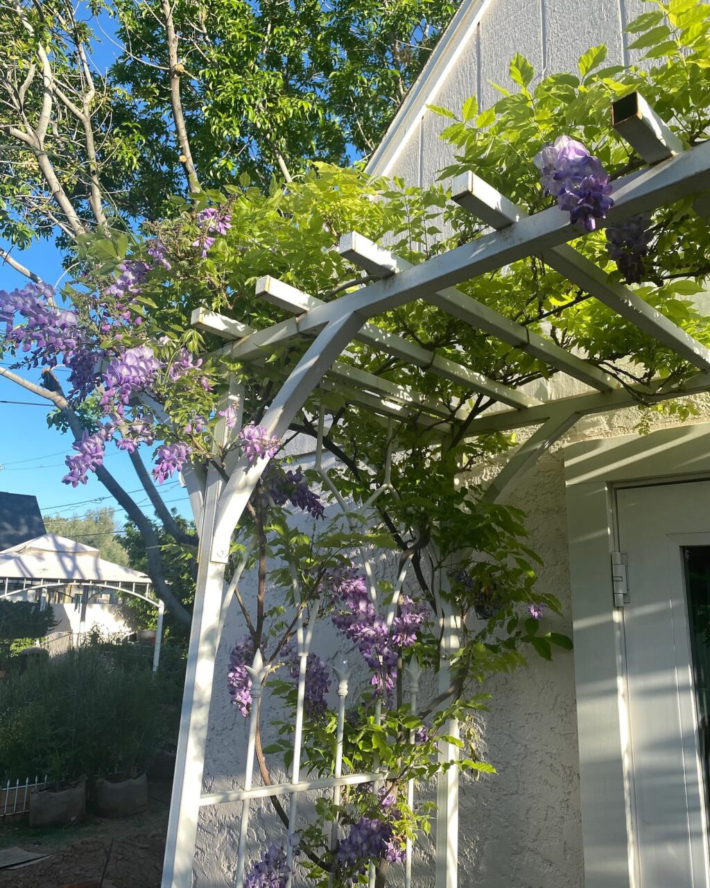 Instagram post from phxkitchengardens. This post is in position 0.