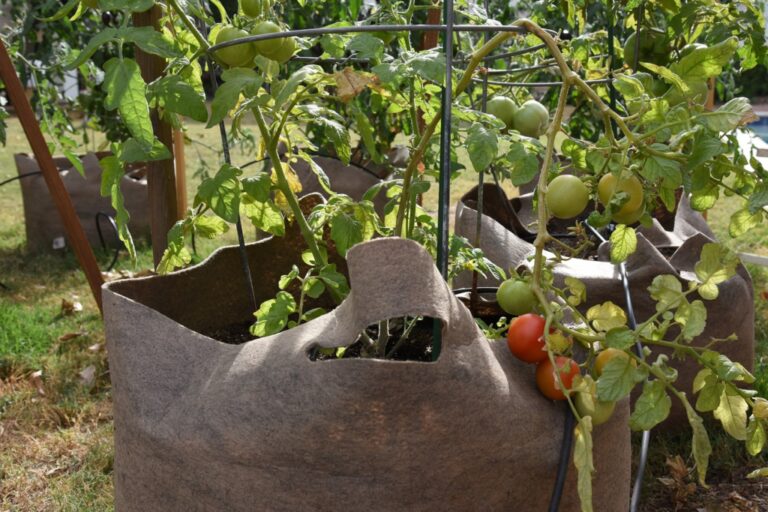 Instagram post from phxkitchengardens. This post is in position 27.