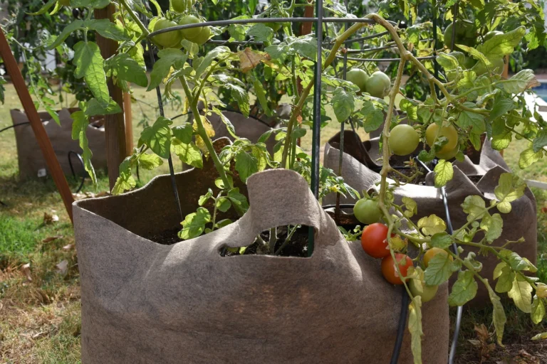 Instagram post from phxkitchengardens. This post is in position 26.