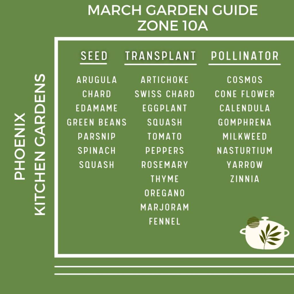 Instagram post from phxkitchengardens. This post is in position 1.
