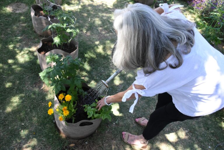 Instagram post from phxkitchengardens. This post is in position 14.