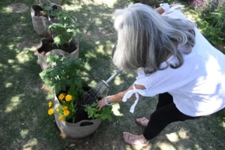 Instagram post from phxkitchengardens. This post is in position 14.