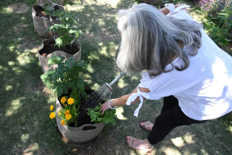 Instagram post from phxkitchengardens. This post is in position 13.