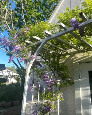 Instagram post from phxkitchengardens. This post is in position 13.