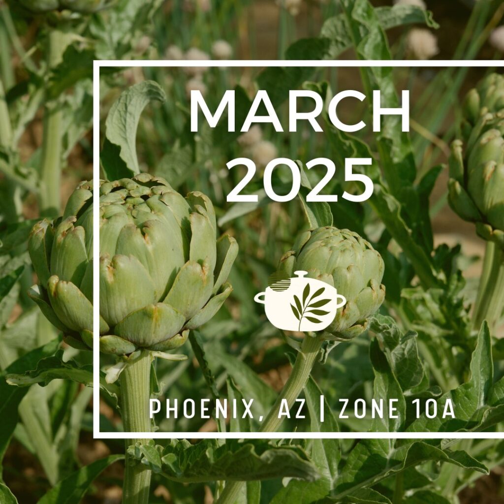 Instagram post from phxkitchengardens. This post is in position 0.