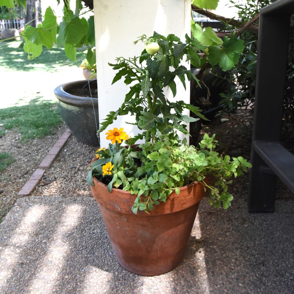 Instagram post from phxkitchengardens. This post is in position 7.