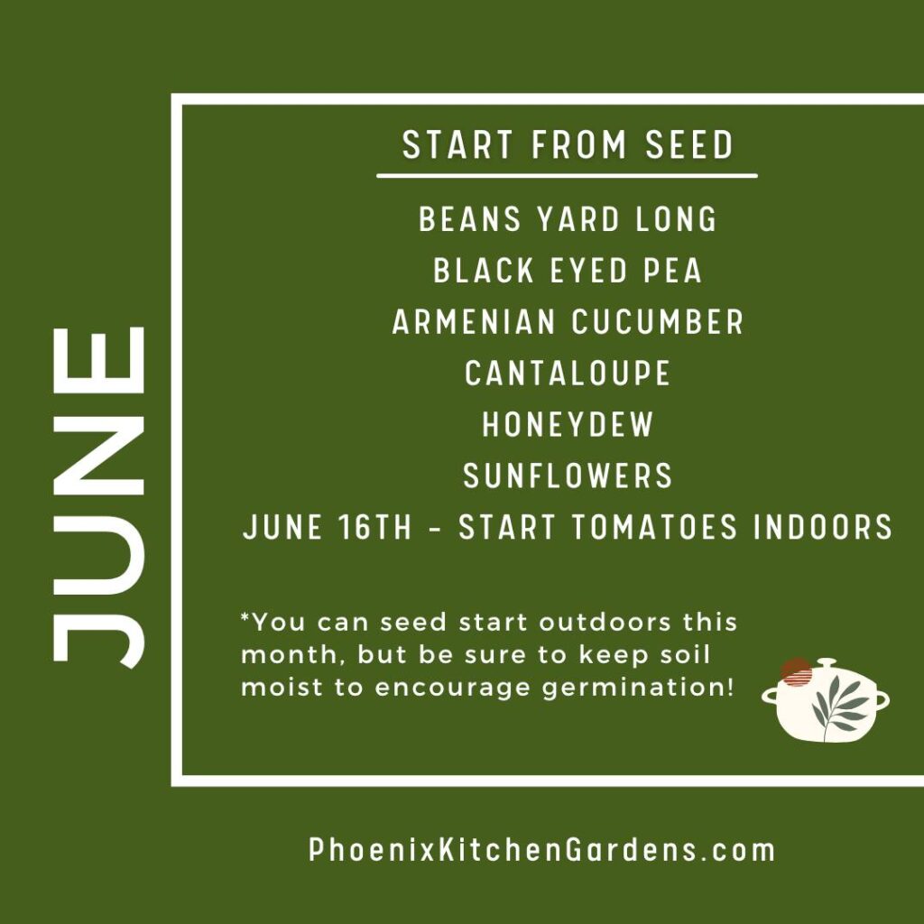 Instagram post from phxkitchengardens. This post is in position 1.